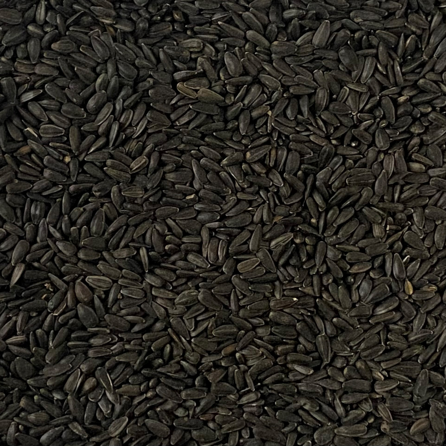 Black Sunflower Seeds