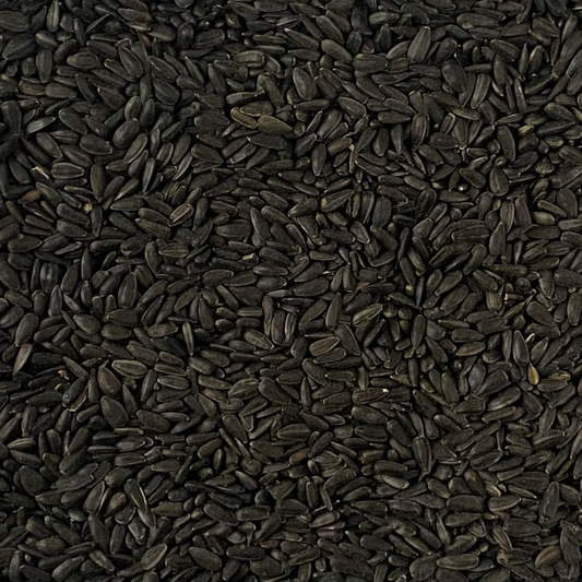 Black Sunflower Seeds