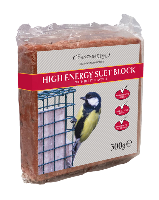 High Energy Suet Block - with Berries