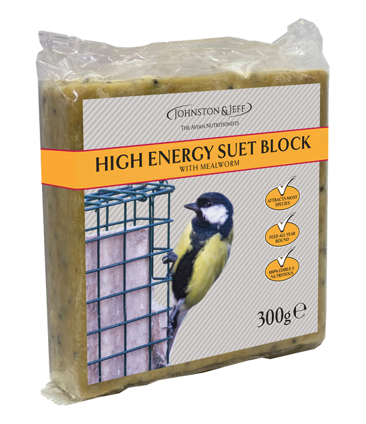 High Energy Suet Block - with Mealworms