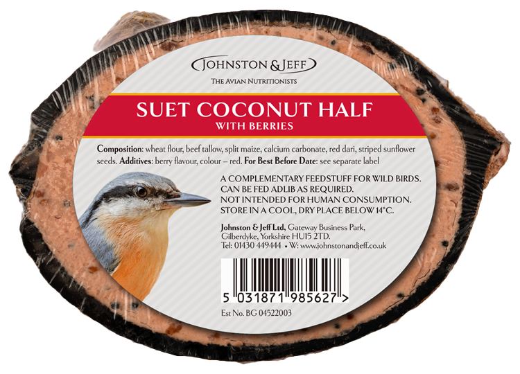 Suet Coconut Half with Berries