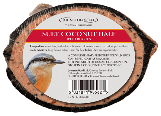 Suet Coconut Half with Berries